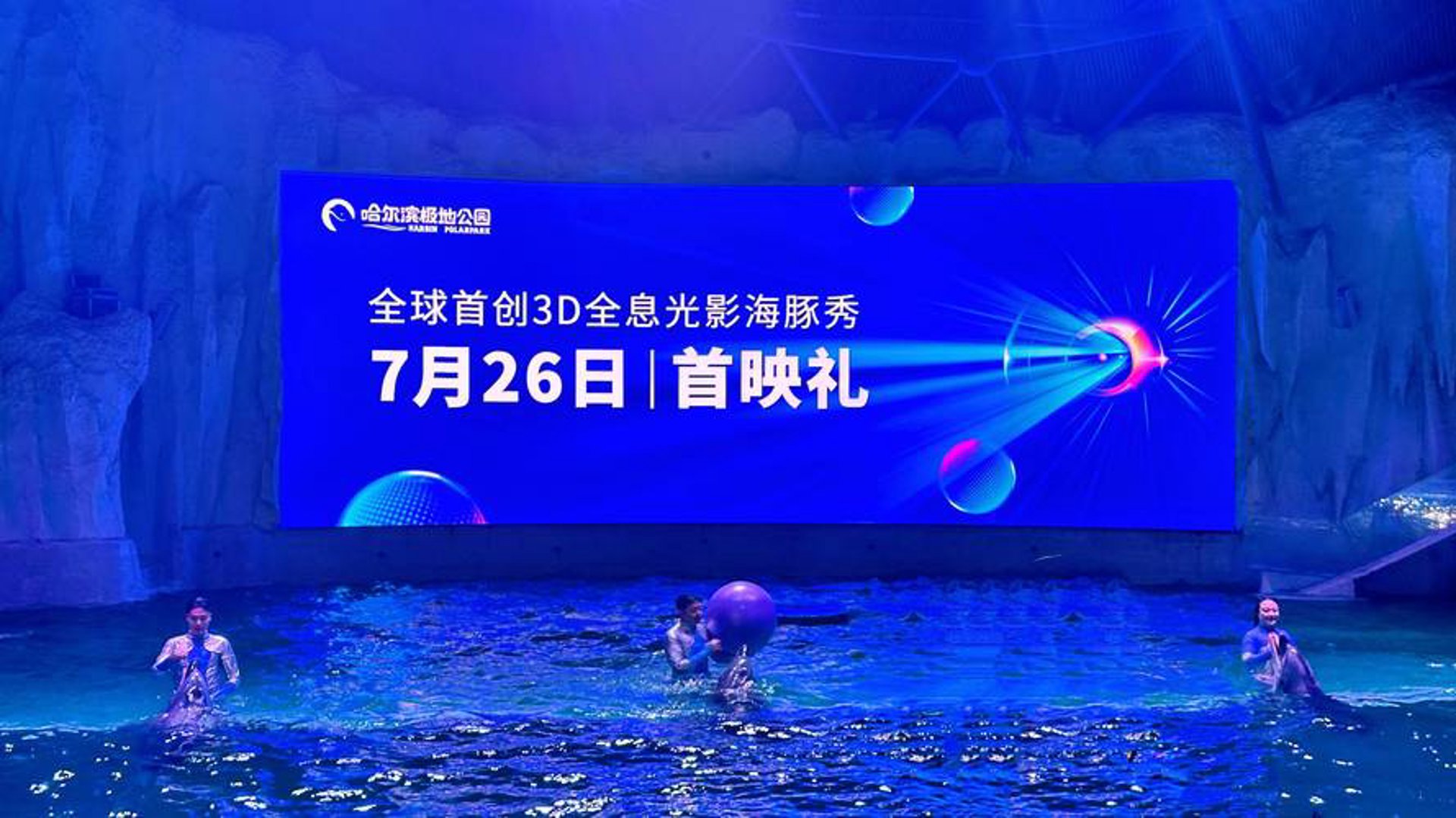 海豚网络科技